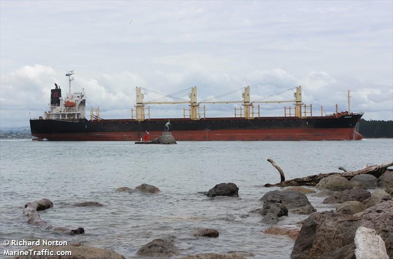 liberator (Bulk Carrier) - IMO 9364851, MMSI 636016461, Call Sign D5GH2 under the flag of Liberia