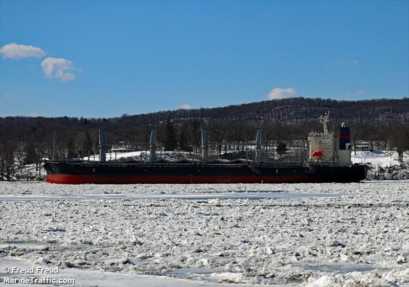 susanoo harmony (Bulk Carrier) - IMO 9791054, MMSI 636020185, Call Sign D5YB8 under the flag of Liberia