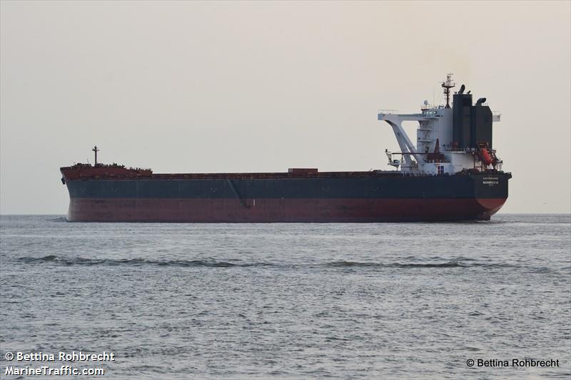 cape peregrine (Bulk Carrier) - IMO 9500754, MMSI 636020317, Call Sign D5YR3 under the flag of Liberia