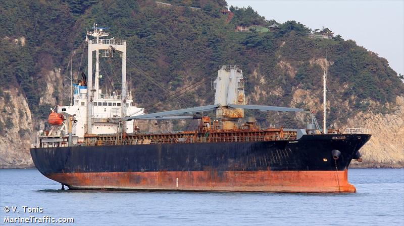 new alliance 9 (General Cargo Ship) - IMO 9123843, MMSI 671186100, Call Sign 5VHM8 under the flag of Togolese Rep