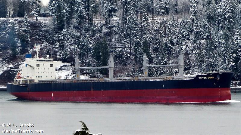 triton swan (Bulk Carrier) - IMO 9632985, MMSI 353506000, Call Sign H9ZR under the flag of Panama