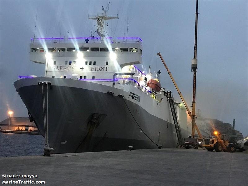 freesia (Livestock Carrier) - IMO 9046368, MMSI 355991000, Call Sign 3FTF4 under the flag of Panama