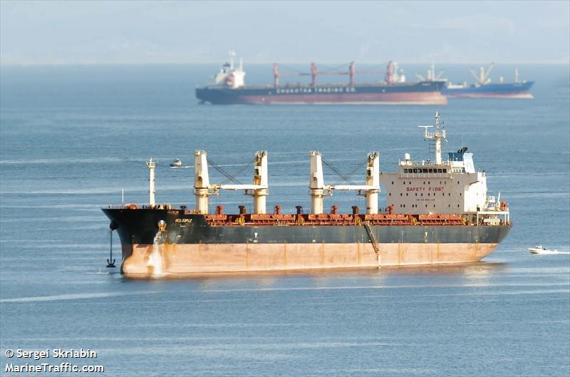 sea topaz (Bulk Carrier) - IMO 9557240, MMSI 357017000, Call Sign 3EYX2 under the flag of Panama