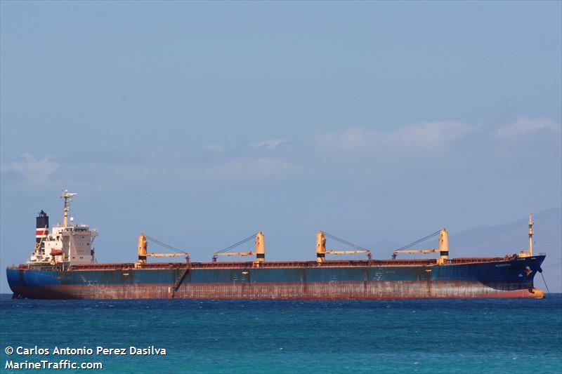 new pioneer (Bulk Carrier) - IMO 9253193, MMSI 357288000, Call Sign 3FNH6 under the flag of Panama