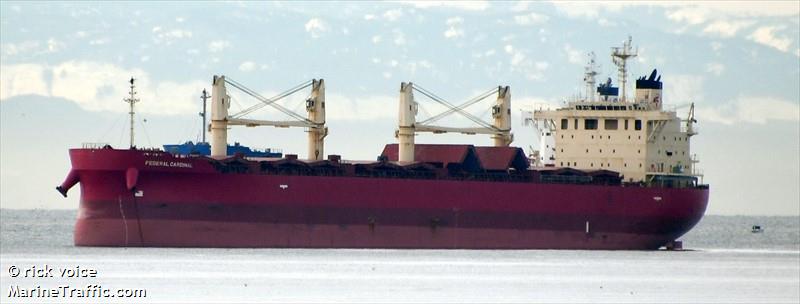 federal cardinal (Bulk Carrier) - IMO 9732163, MMSI 371646000, Call Sign 3FWE3 under the flag of Panama