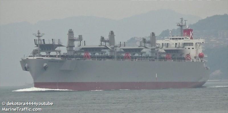 forestal gaia (Wood Chips Carrier) - IMO 9773832, MMSI 431076000, Call Sign 7JZT under the flag of Japan
