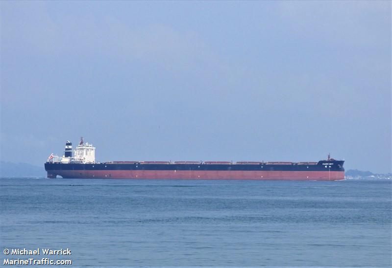 pacific unity (Bulk Carrier) - IMO 9806976, MMSI 477159400, Call Sign VRRJ4 under the flag of Hong Kong