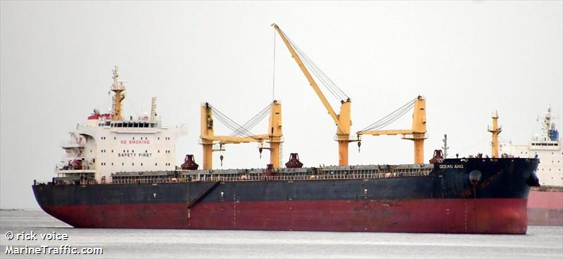 ocean ang (Bulk Carrier) - IMO 9740081, MMSI 477620700, Call Sign VRPV7 under the flag of Hong Kong