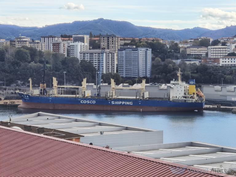 jin xing ling (Bulk Carrier) - IMO 9487093, MMSI 477815500, Call Sign VRHB9 under the flag of Hong Kong