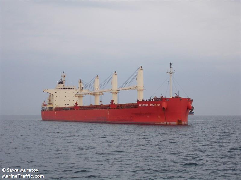 federal trident (Bulk Carrier) - IMO 9658977, MMSI 538006466, Call Sign V7NJ6 under the flag of Marshall Islands