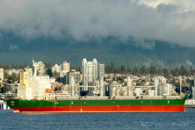 woody (Bulk Carrier) - IMO 9747156, MMSI 538008578, Call Sign V7A2532 under the flag of Marshall Islands