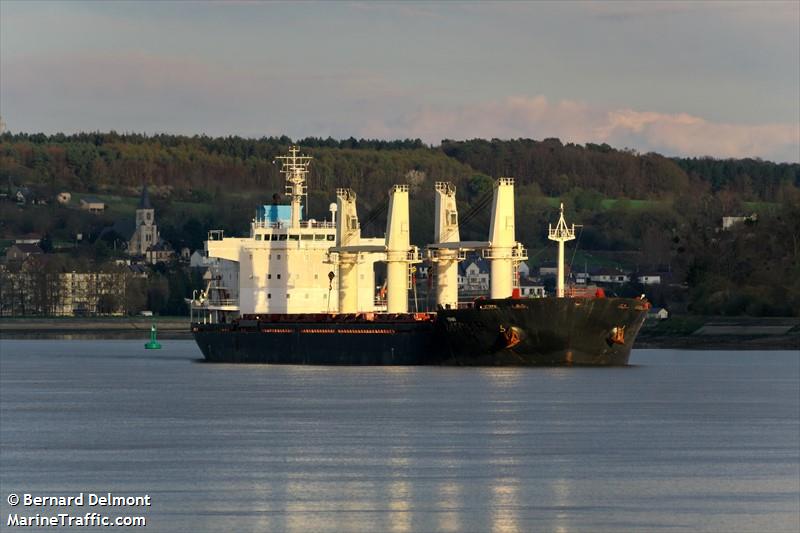 yihai (Bulk Carrier) - IMO 9459395, MMSI 572996210, Call Sign T2CU5 under the flag of Tuvalu