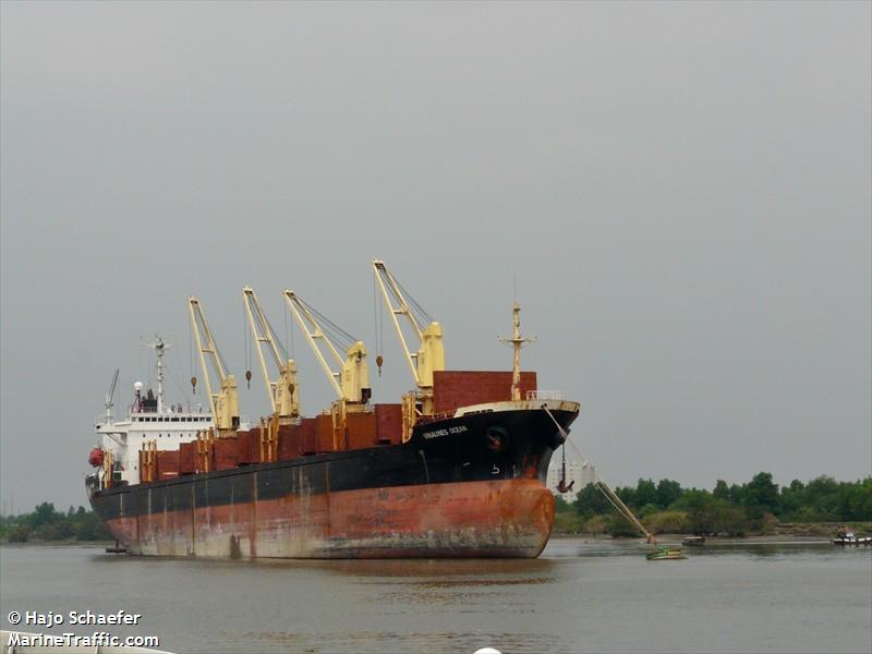 new gold (Bulk Carrier) - IMO 9047013, MMSI 574517000, Call Sign 3WQT under the flag of Vietnam