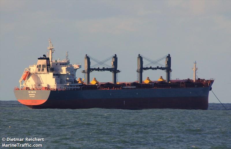 td tokyo (Bulk Carrier) - IMO 9726566, MMSI 636017644, Call Sign D5MA8 under the flag of Liberia