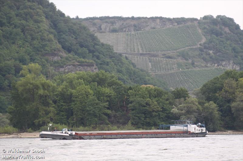 danimex 3 (Cargo ship) - IMO , MMSI 264162571, Call Sign YP2571 under the flag of Romania