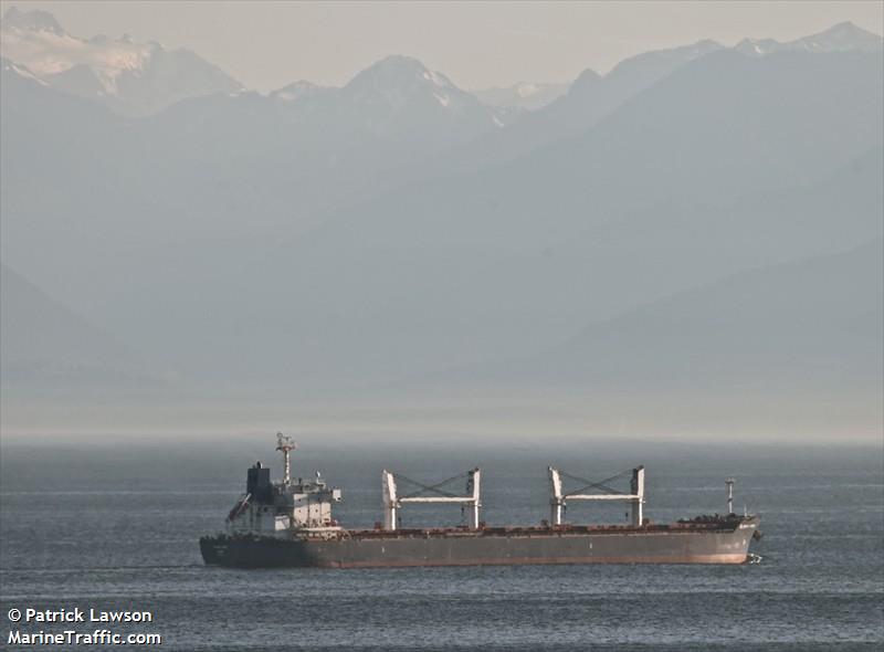 global hope (Bulk Carrier) - IMO 9445629, MMSI 351673000, Call Sign 3EZY7 under the flag of Panama