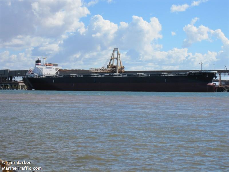 baby hercules (Bulk Carrier) - IMO 9478822, MMSI 356006000, Call Sign 3EYR4 under the flag of Panama