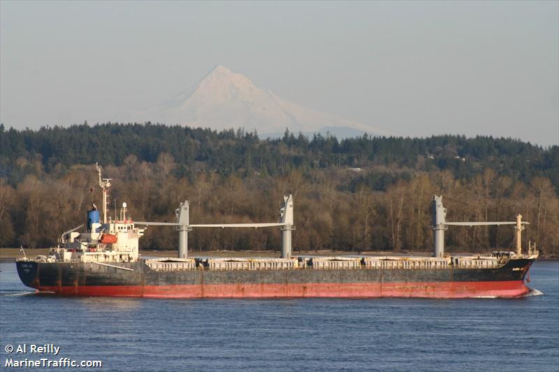 tan binh 45 (General Cargo Ship) - IMO 9140229, MMSI 356461000, Call Sign 3FGF6 under the flag of Panama