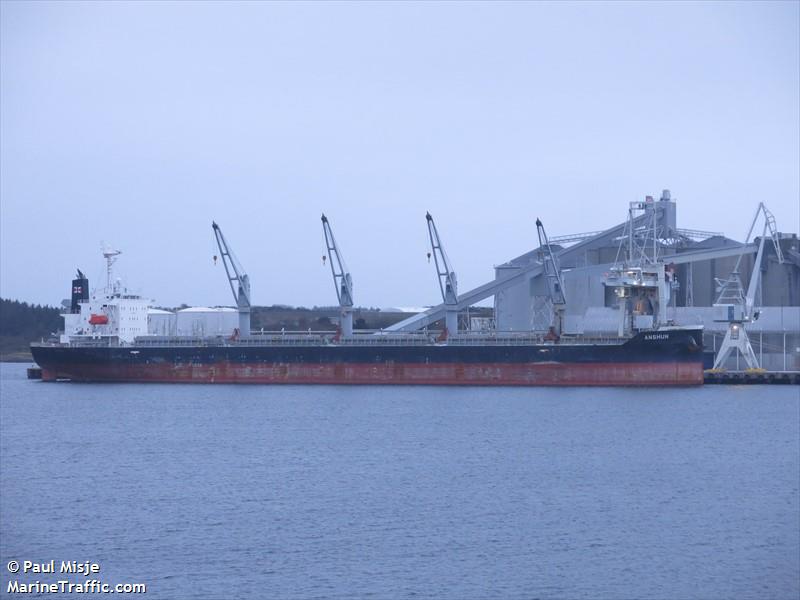 anshun (Bulk Carrier) - IMO 9851347, MMSI 357454000, Call Sign 3FZU5 under the flag of Panama