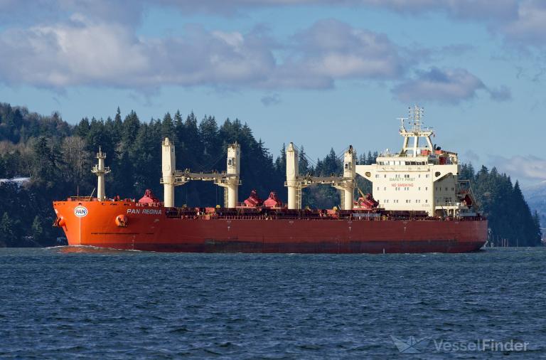 pan regina (Bulk Carrier) - IMO 9875666, MMSI 371051000, Call Sign 3EGA9 under the flag of Panama