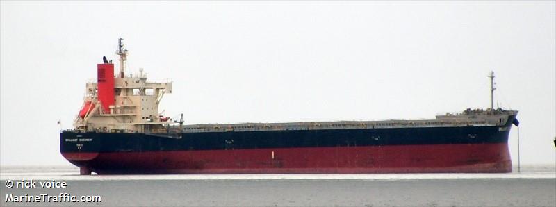 brilliant discovery (Bulk Carrier) - IMO 9687734, MMSI 431094000, Call Sign 7JSN under the flag of Japan