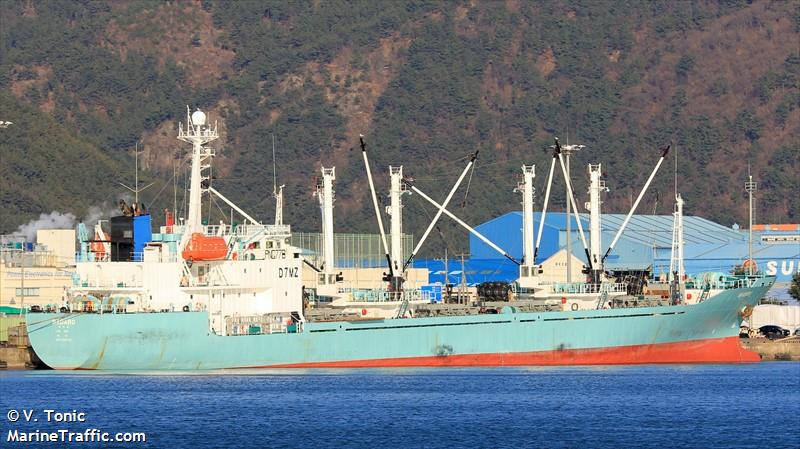 mv badaro (Refrigerated Cargo Ship) - IMO 9163439, MMSI 440217000, Call Sign D7MZ under the flag of Korea