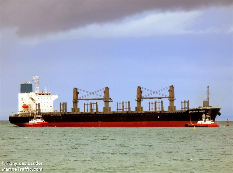 eastern hawk (Bulk Carrier) - IMO 9888869, MMSI 563116200, Call Sign 9V6807 under the flag of Singapore