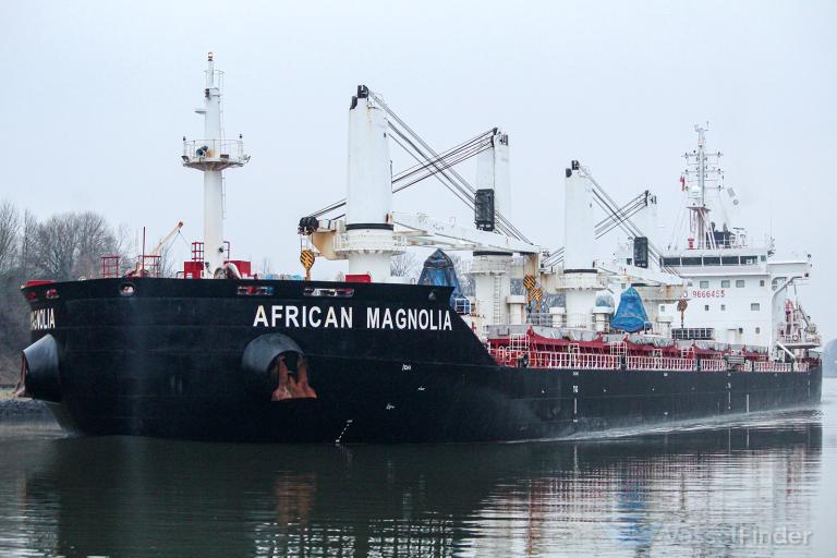 african magnolia (Bulk Carrier) - IMO 9666455, MMSI 636015894, Call Sign D5DJ3 under the flag of Liberia