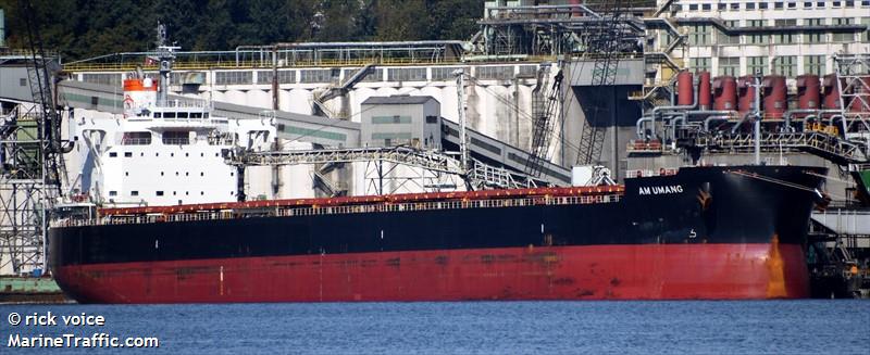 am umang (Bulk Carrier) - IMO 9792058, MMSI 636018809, Call Sign D5RM3 under the flag of Liberia