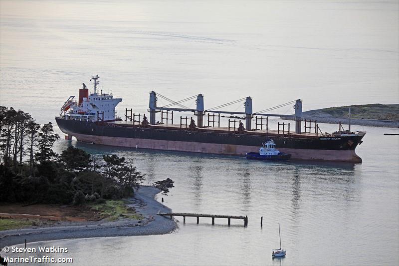 danship bulker (Bulk Carrier) - IMO 9515682, MMSI 248092000, Call Sign 9HA2171 under the flag of Malta