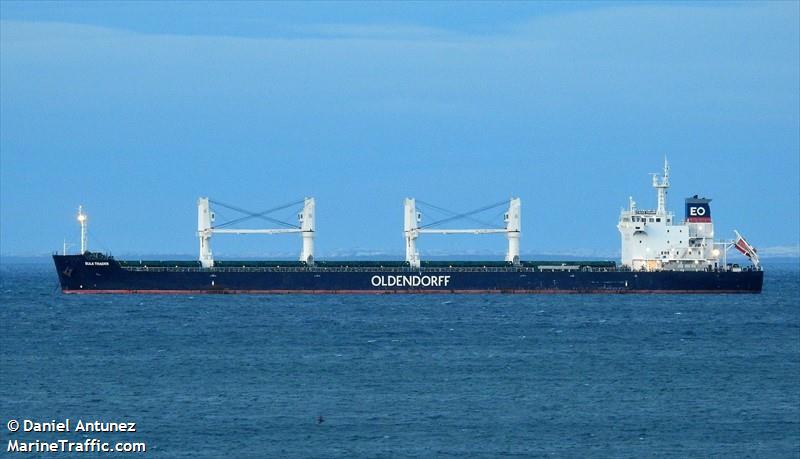 bulk trader (Bulk Carrier) - IMO 9762493, MMSI 255806380, Call Sign CQEG9 under the flag of Madeira