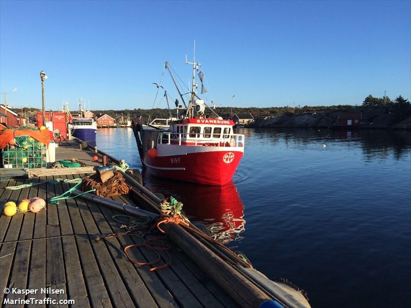 svanesund (Fishing vessel) - IMO , MMSI 257191440, Call Sign LK8665 under the flag of Norway