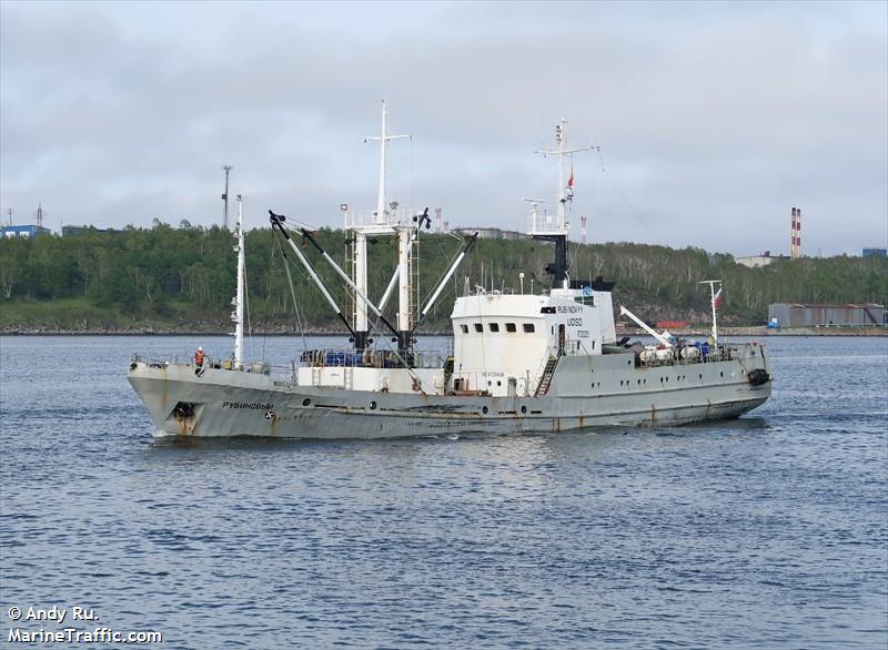 rubinovyy (Fish Carrier) - IMO 8725826, MMSI 273872100, Call Sign UDSD under the flag of Russia