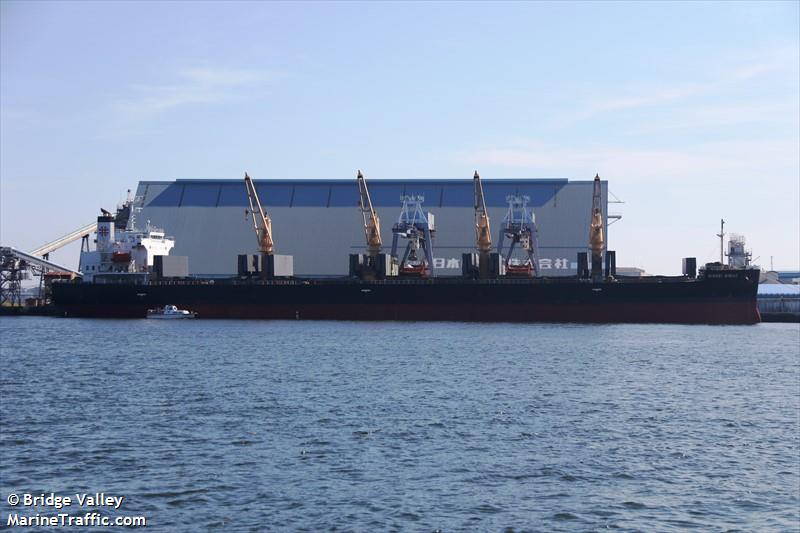 nikkei sirius (General Cargo Ship) - IMO 9452919, MMSI 353804000, Call Sign 3EZP7 under the flag of Panama