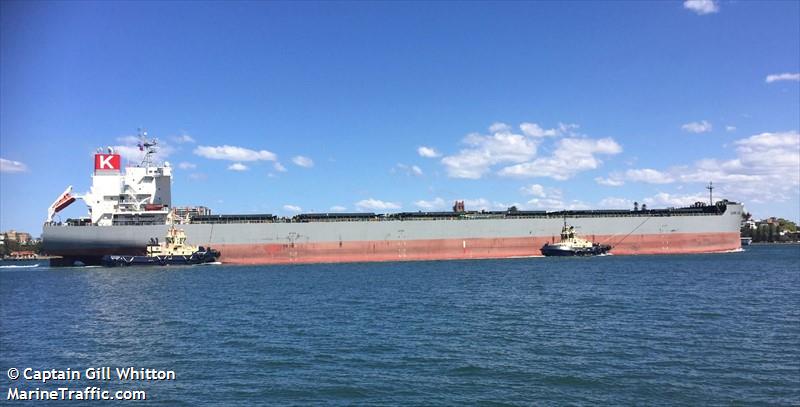 cape ace (Bulk Carrier) - IMO 9885051, MMSI 371225000, Call Sign 3FQT3 under the flag of Panama