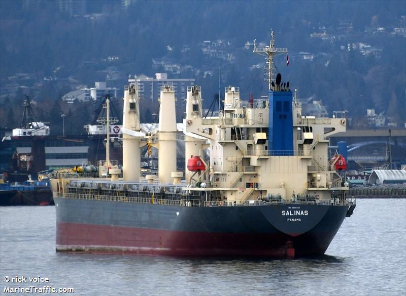 salinas (General Cargo Ship) - IMO 9805324, MMSI 371518000, Call Sign HOBS under the flag of Panama