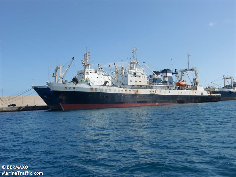 an xing hai (Fish Factory Ship) - IMO 8724339, MMSI 412200083, Call Sign BALE under the flag of China