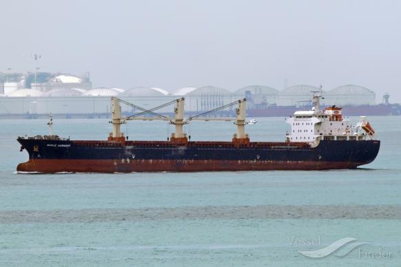zhen jing 61 (Bulk Carrier) - IMO 9545572, MMSI 414402990, Call Sign BTJF3 under the flag of China