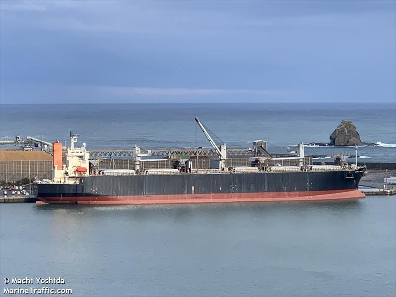 world swan ii (Wood Chips Carrier) - IMO 9344045, MMSI 431178000, Call Sign 7JUE under the flag of Japan