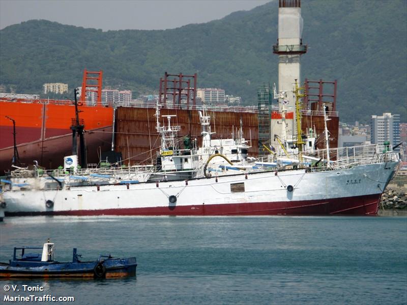 7 dong il (Fishing Vessel) - IMO 8910952, MMSI 440701000, Call Sign 6MWW under the flag of Korea