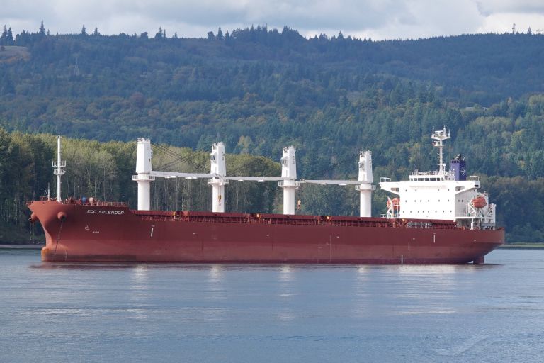 eco splendor (General Cargo Ship) - IMO 9659189, MMSI 477030800, Call Sign VRMB6 under the flag of Hong Kong