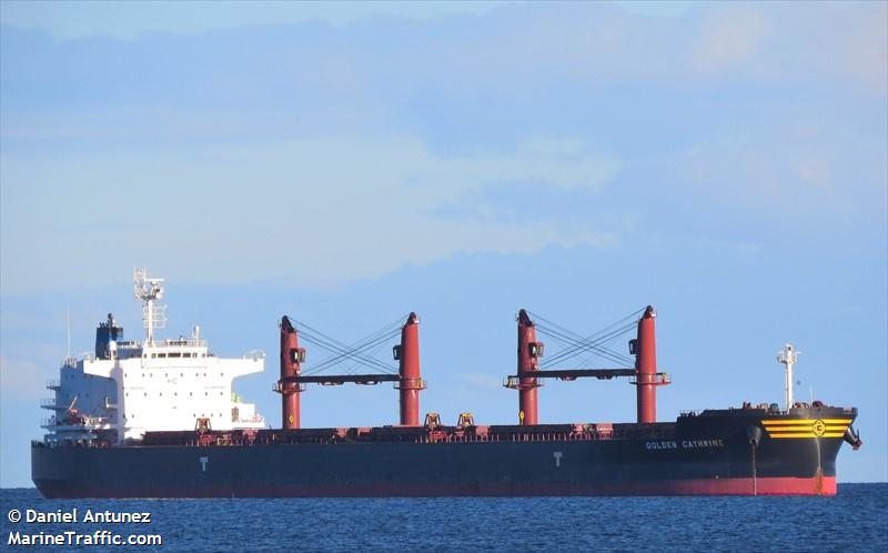 golden cathrine (Bulk Carrier) - IMO 9692674, MMSI 477289800, Call Sign VROA5 under the flag of Hong Kong