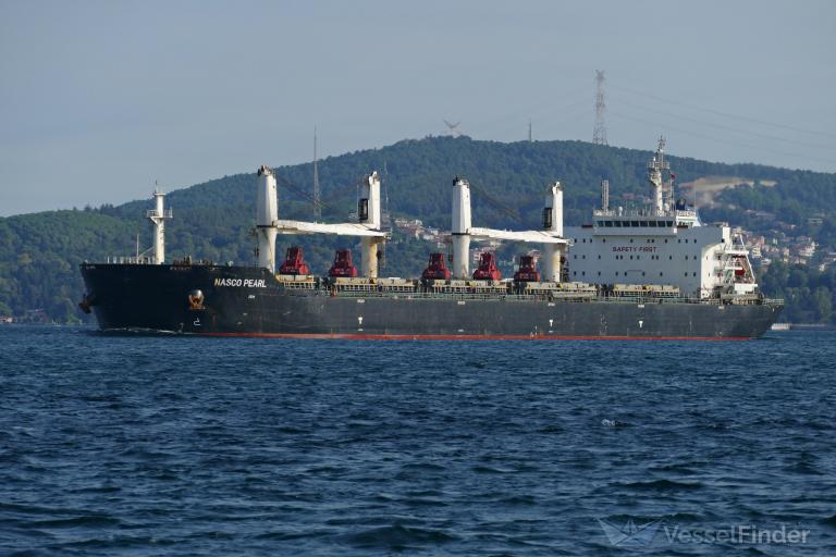 nasco pearl (Bulk Carrier) - IMO 9547805, MMSI 477982400, Call Sign VRHS2 under the flag of Hong Kong