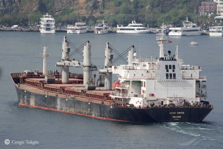 manalagi tara (Bulk Carrier) - IMO 9330422, MMSI 525700046, Call Sign YCYC2 under the flag of Indonesia