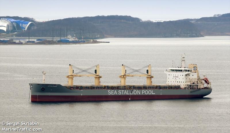 appaloosa (Bulk Carrier) - IMO 9646704, MMSI 538005263, Call Sign V7CH8 under the flag of Marshall Islands