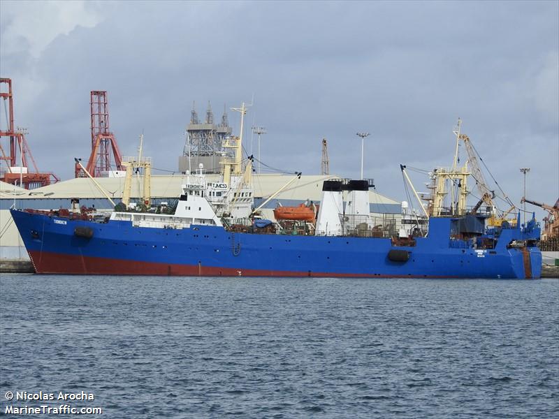 trondheim (Fish Factory Ship) - IMO 8832112, MMSI 613003597, Call Sign TJMC53 under the flag of Cameroon
