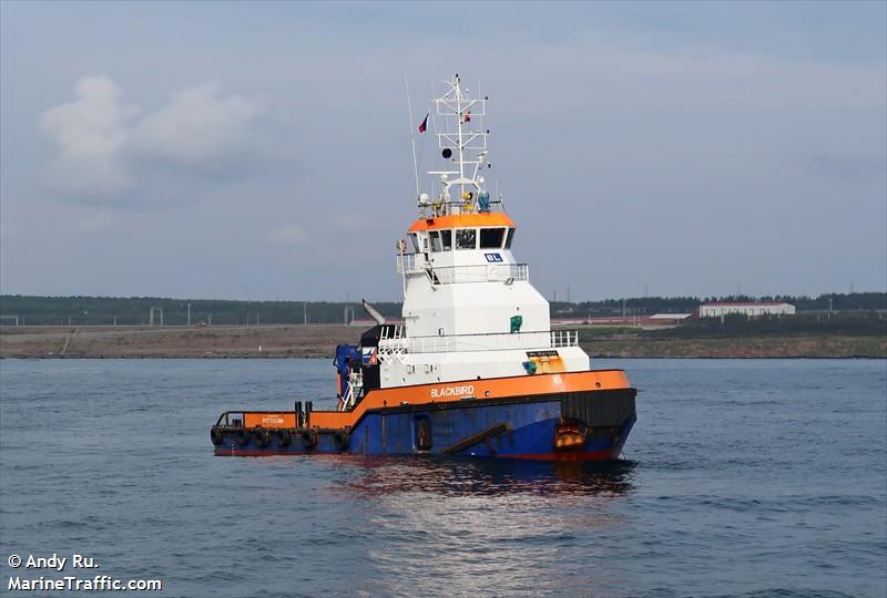 blackbird (Pusher Tug) - IMO 9524504, MMSI 246093000, Call Sign PBOV under the flag of Netherlands