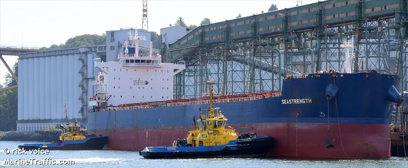 seastrength (Bulk Carrier) - IMO 9589671, MMSI 256503000, Call Sign 9HA3932 under the flag of Malta