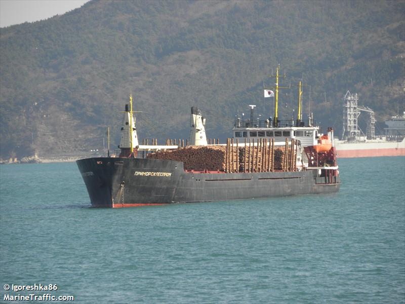 omskiy-206 (General Cargo Ship) - IMO 8881931, MMSI 273162000, Call Sign UAEL under the flag of Russia