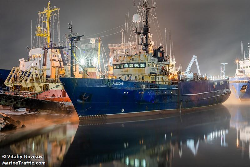 rashkov (Fishing Vessel) - IMO 8722123, MMSI 273847500, Call Sign UCXF under the flag of Russia